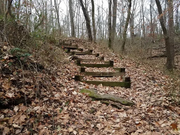 Fából Készült Lépcső Ösvény Vagy Ösvény Erdőben Vagy Erdőben Levelekkel — Stock Fotó