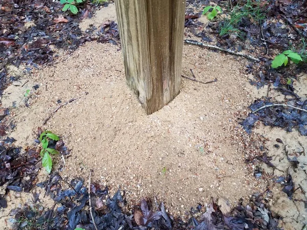 Poste Estaca Madera Tierra Arena Húmeda Suelo —  Fotos de Stock