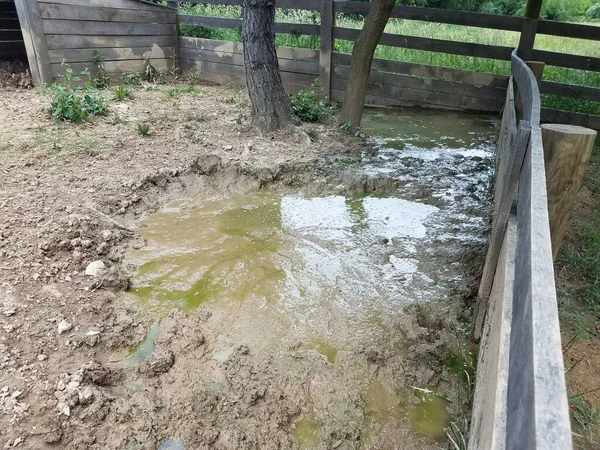 Cerca Madera Con Tierra Barro Agua Suelo — Foto de Stock