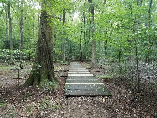 Holzbrücke Mit Alten Und Neuen Holzbrettern — Stockfoto