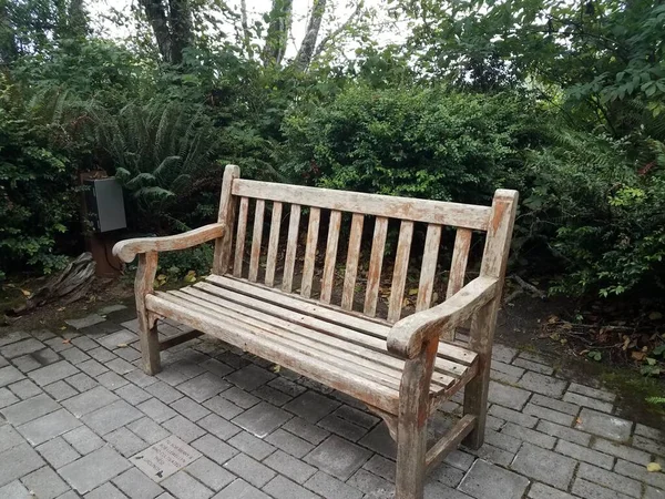 Banc Siège Bois Sur Carreaux Pierre Plantes Vertes Dans Parc — Photo