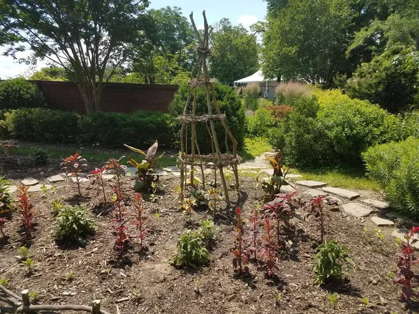 红绿相间的植物和红砖做成的花园中植物的木结构 — 图库照片