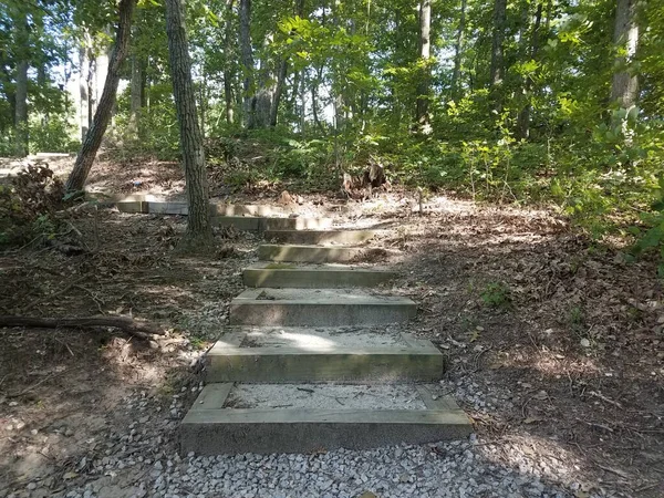 wood steps in the forest or woods with rocks or stones