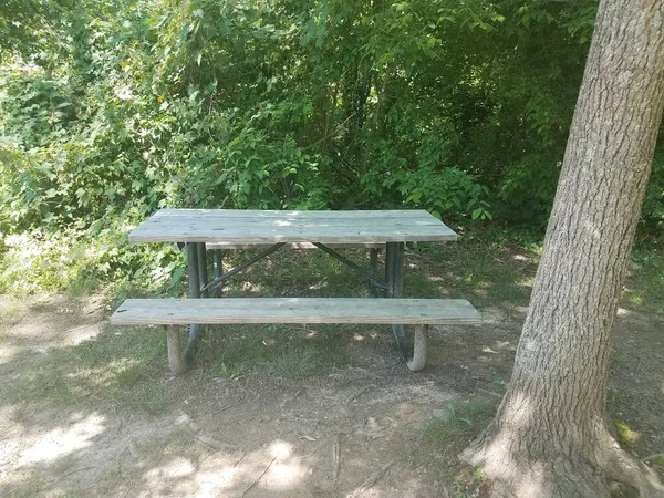 Ein Holz Picknicktisch Mit Baum Und Grünen Pflanzen — Stockfoto