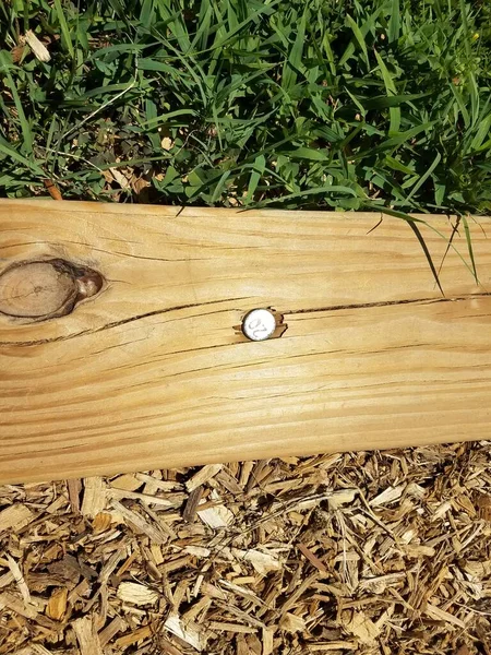 wood board with a number 20 nail in it and grass and wood chips