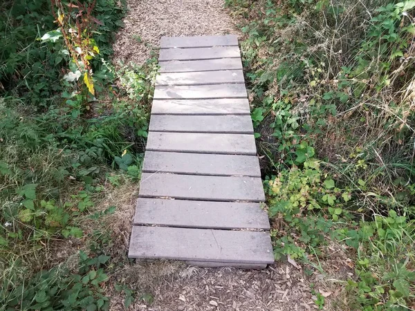 wood boardwalk on path or trail over hole with plants
