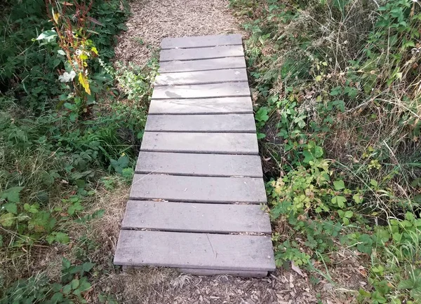 wood boardwalk on path or trail over hole with plants