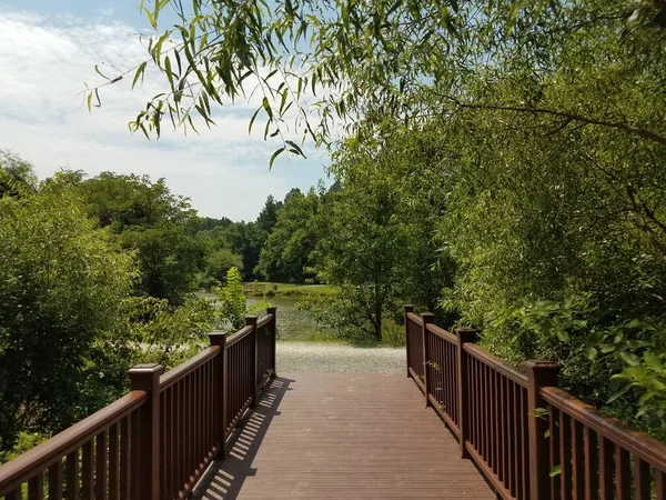 Dark Wood Boardwalk Pond Many Trees — Stock Photo, Image