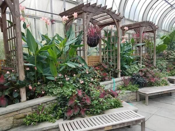 several wood benches and plants in a greenhouse