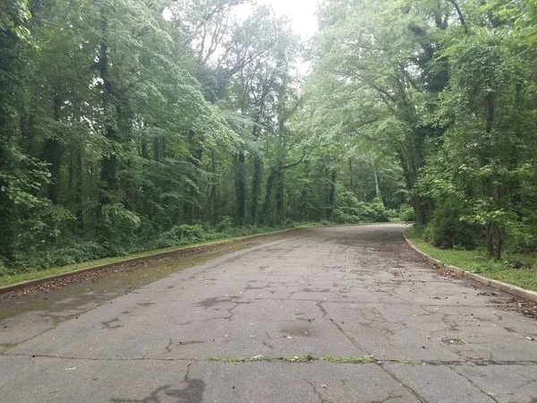 Wide Asphalt Road Path Trees Cement Curb — Stock Photo, Image