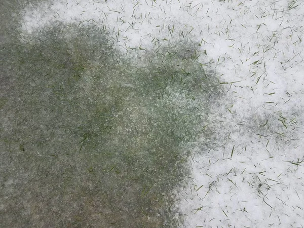 Biały Śnieg Lód Zielonym Trawniku Trawiastym Lub Podwórku — Zdjęcie stockowe