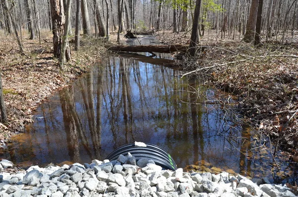 Rocas Blancas Tubería Tubo Negro Bosque Con Canal Arroyo — Foto de Stock