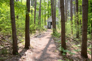 Ormandaki beyaz bina ve ağaçlar ya da patikalı ya da patikalı ağaçlar