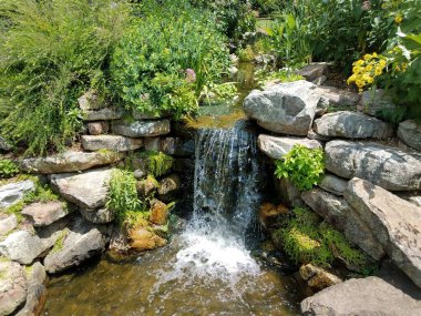 Küçük şelale ve yeşil çiçekli kayalar