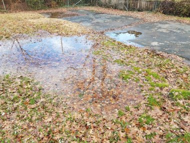 Büyük su birikintisi, düşen yapraklar ve siyah asfalt.