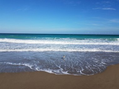 Sahilde ya da sahilde dalgalı ve mavi gökyüzü olan okyanus suyu