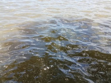 Sudaki küçük dalgalar Güneş ışığı seçiyor