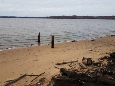 Kum ve suyla kumsalda odun ve kir ve enkaz.