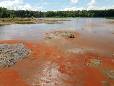 Bir bataklık ya da bataklık bölgesinde kırmızı algler, su ve çamur
