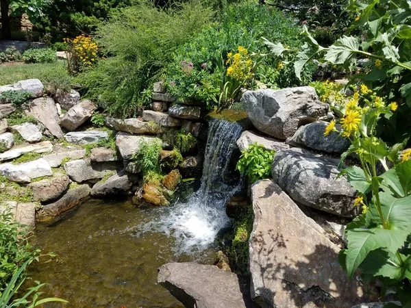 Petite Cascade Rochers Aux Plantes Fleurs Vertes — Photo