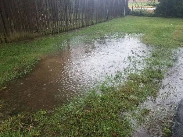 Grande Poça Água Com Gotas Chuva Uma Grama Verde Gramado — Fotografia de Stock