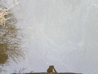 Çimenlerin, bitkilerin ve insanların yansımasıyla kirli ya da bulanık durgun su