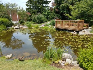 Bir sürü çiçekli küçük bir gölet ve bir ağaç gözlem platformu ve ördek.