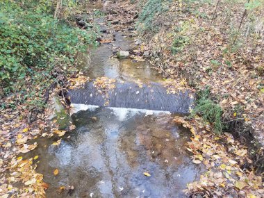 Şelalesi, yaprakları ve bitkileri olan küçük nehir ya da dere