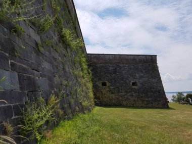 Yeşil yabani otlarla dolu bir kale duvarı.