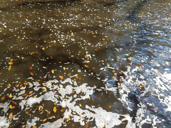 Voda Bublinkami Spadanými Listy Plovoucí Sluneční Světlo — Stock fotografie