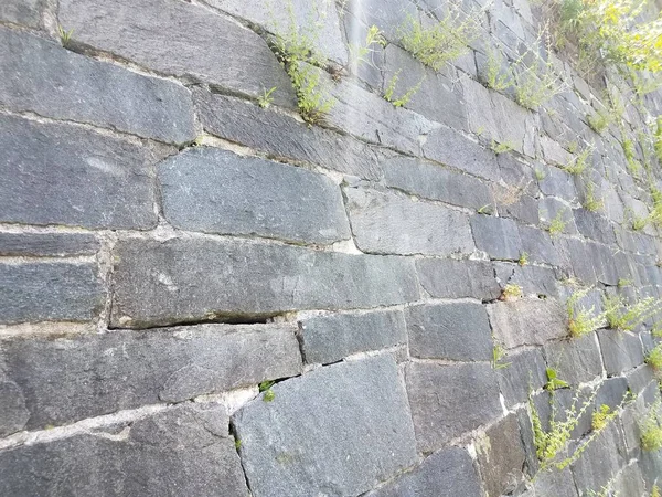 Замкова Стіна Зеленими Бур Янами Ростуть Неї — стокове фото