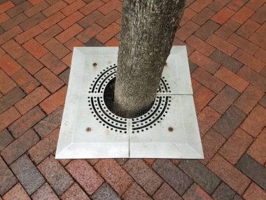 Metal plakalı ve kırmızı tuğlalı ağaç gövdesi.