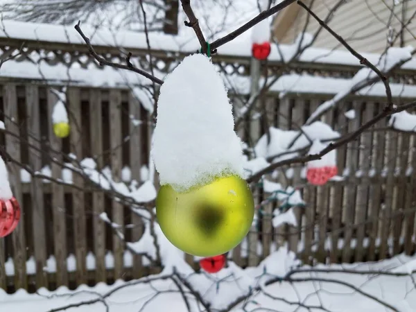Tree Red Yellow Christmas Ornaments Snow Wood Fence — Stock Photo, Image