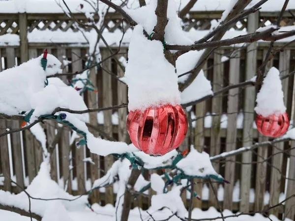 Елка Красными Рождественскими Украшениями Снегом Деревянным Забором — стоковое фото