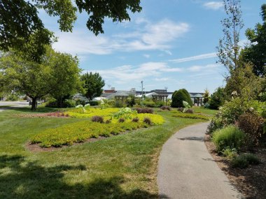 Bahçede asfalt yol ve büyük yeşil yapraklı bitkiler.