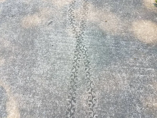 Gri Çimento Kaldırımda Bisiklet Lastiği Izleri — Stok fotoğraf