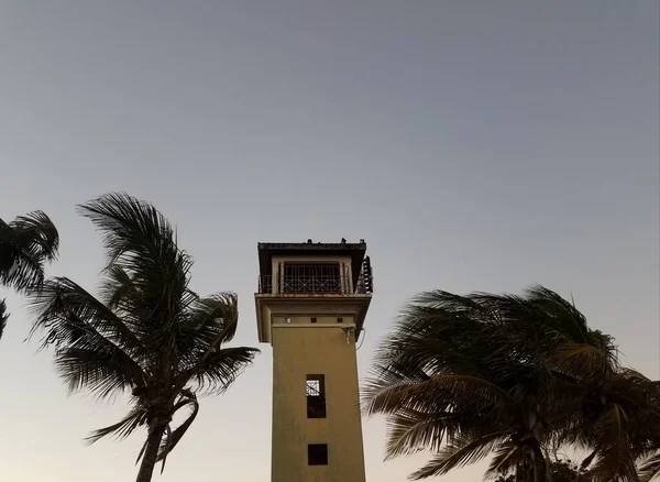 Wieża Widokowa Palmy Guancha Ponce Portoryko — Zdjęcie stockowe