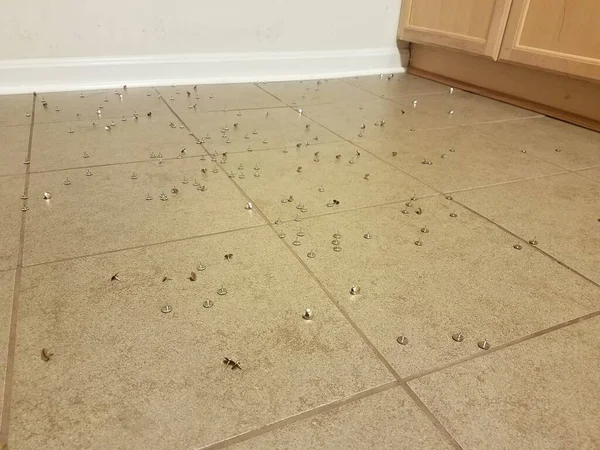 Many Office Tacks Tossed Tiled Kitchen Floor — Stock Photo, Image