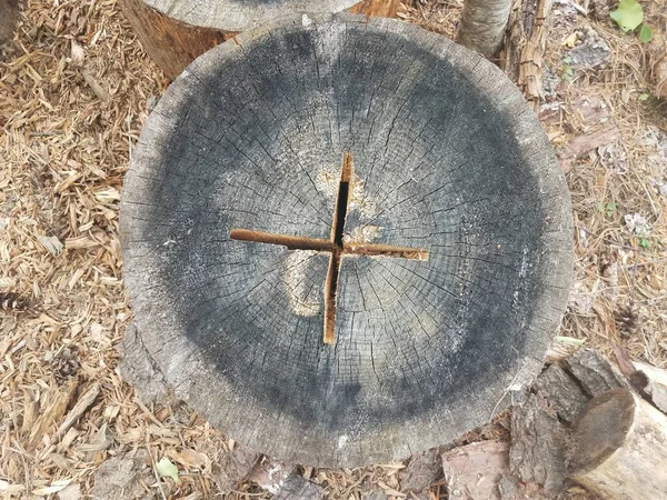 Ξύλινο Κούτσουρο Δέντρο Σταυρό Συν Κοπεί Αυτό — Φωτογραφία Αρχείου
