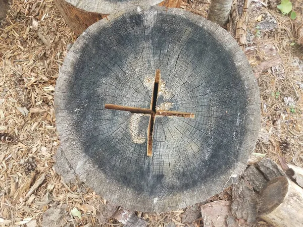 Tocón Árbol Madera Con Cruz Más Cortado Ella —  Fotos de Stock