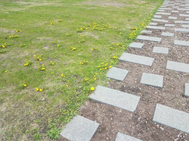 dikdörtgen ve kare basamaklar ve yeşil çimenler ve karahindibalar
