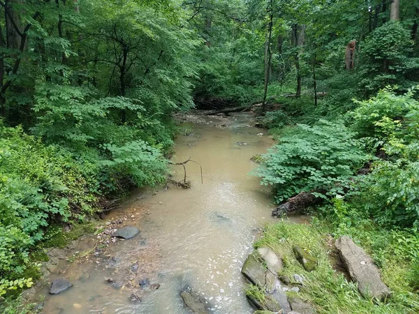 Córrego Riacho Floresta Bosques Com Rochas Pedras — Fotografia de Stock