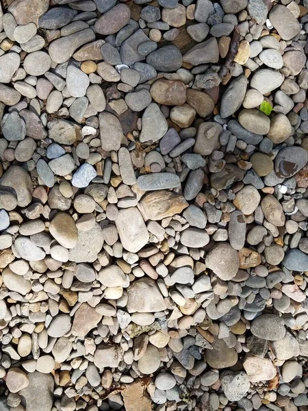 Viele Graue Steine Oder Felsen Und Ein Paar Muscheln — Stockfoto