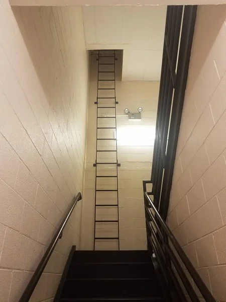 Stufen Oder Treppen Mit Weißer Zementwand Und Hoher Leiter Und — Stockfoto