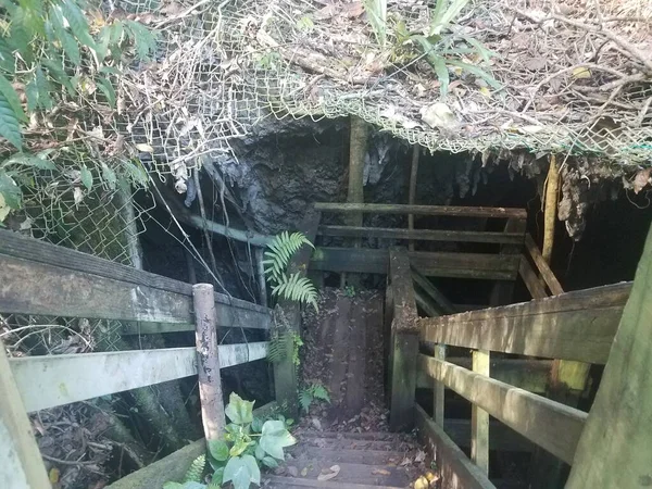 Escalones Escaleras Hasta Cueva Caverna Bosque Guajataca Puerto Rico —  Fotos de Stock