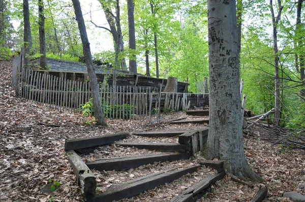 森や森の中に木彫りの階段 — ストック写真