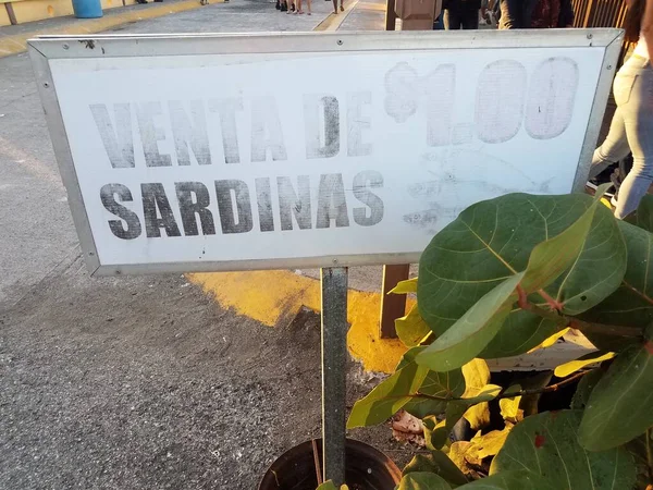 Venta Sardinas Säljer Sardiner Ett Dollartecken Guancha Ponce Puerto Rico — Stockfoto