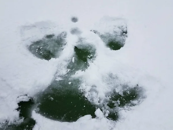 Beyaz Kardaki Kar Meleği Asfalt — Stok fotoğraf
