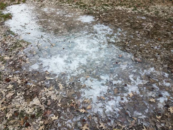 Gelo Espesso Escorregadio Frio Com Folhas Castanhas Caídas Inverno — Fotografia de Stock