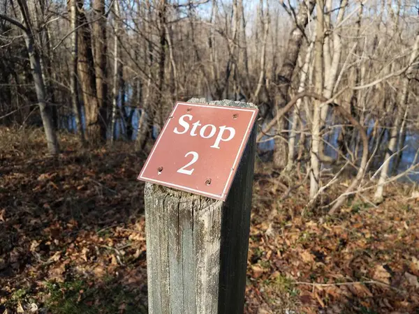 Rood Stopbord Houten Paal Bos Bos — Stockfoto